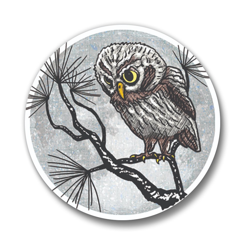 Owl Button Pin - Button Pins - Two Little Fruits - Two Little Fruits