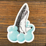 Shark illustrated vinyl sticker by Two Little Fruits