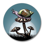 Snail Bottle Opener With Magnetic Cap Catcher - Soft - Touch, Weather & Scuff Resistant - Soft Matte Bottle Openers - Two Little Fruits - Two Little Fruits