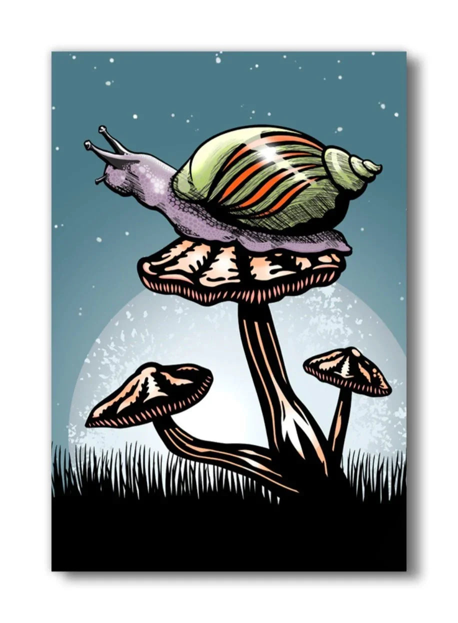Unique Kitchen Magnets - Shroom With A View Snail Magnet for Fun Fridge Decor - Fridge Magnets - Two Little Fruits - Two Little Fruits