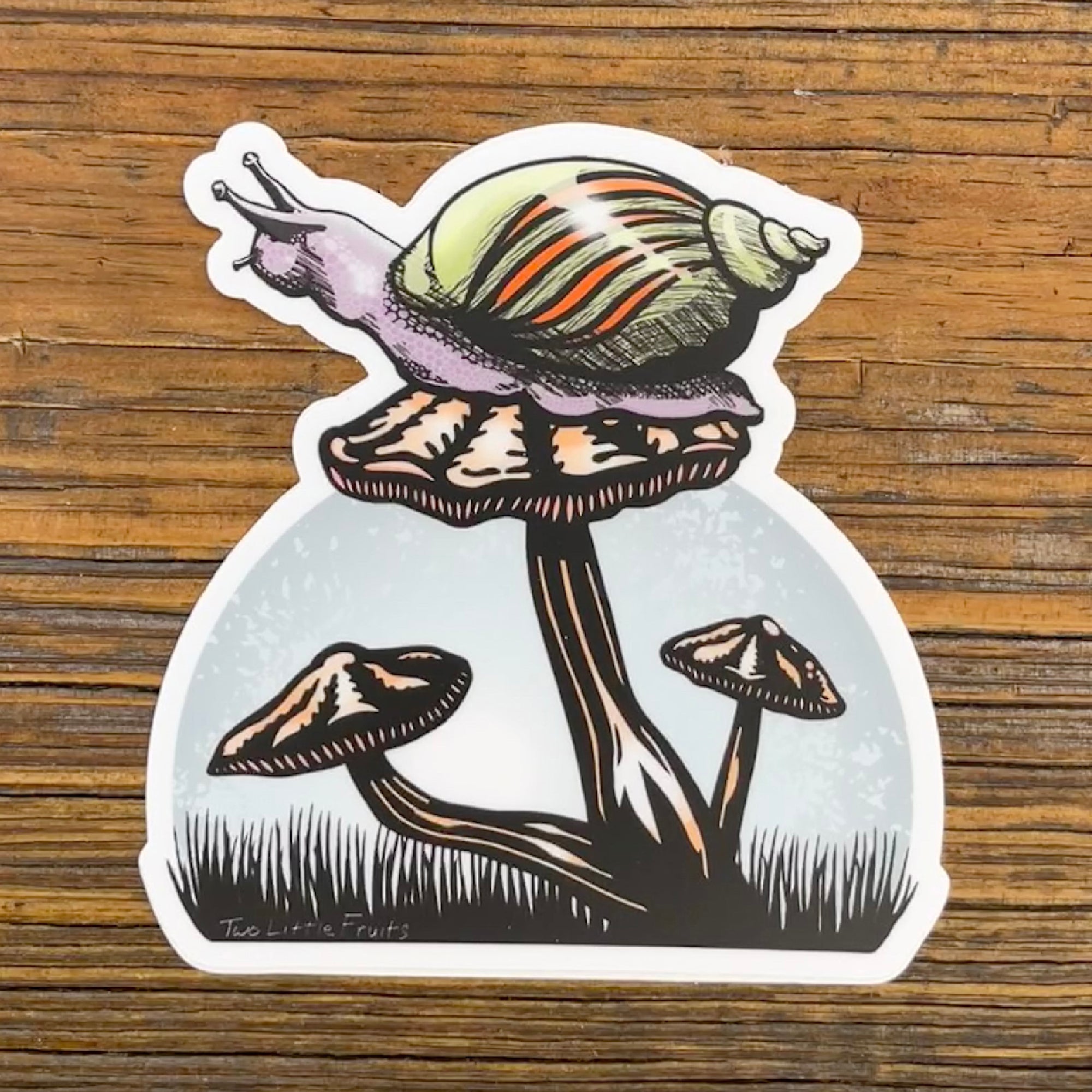 Snail Sticker - Sticker - Two Little Fruits - Two Little Fruits