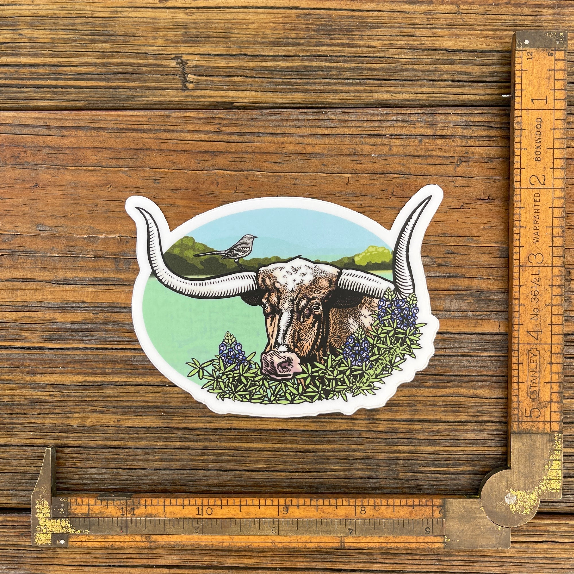 Texas Longhorn Sticker - Sticker - Two Little Fruits - Two Little Fruits