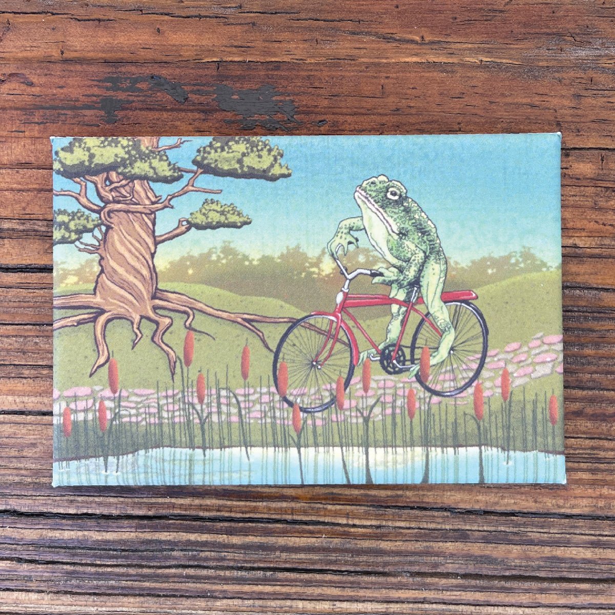 Toadster Frog Fridge Magnet - Cute 2" x 3" Artwork, Strong Magnet, Weather - Resistant Design - Fridge Magnets - Two Little Fruits - Two Little Fruits