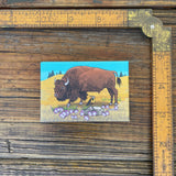 Unique Fridge Decor: Buffalo Decorative Art Magnet - 2" x 3" Durable Kitchen Accessory - Fridge Magnets - Two Little Fruits - Two Little Fruits