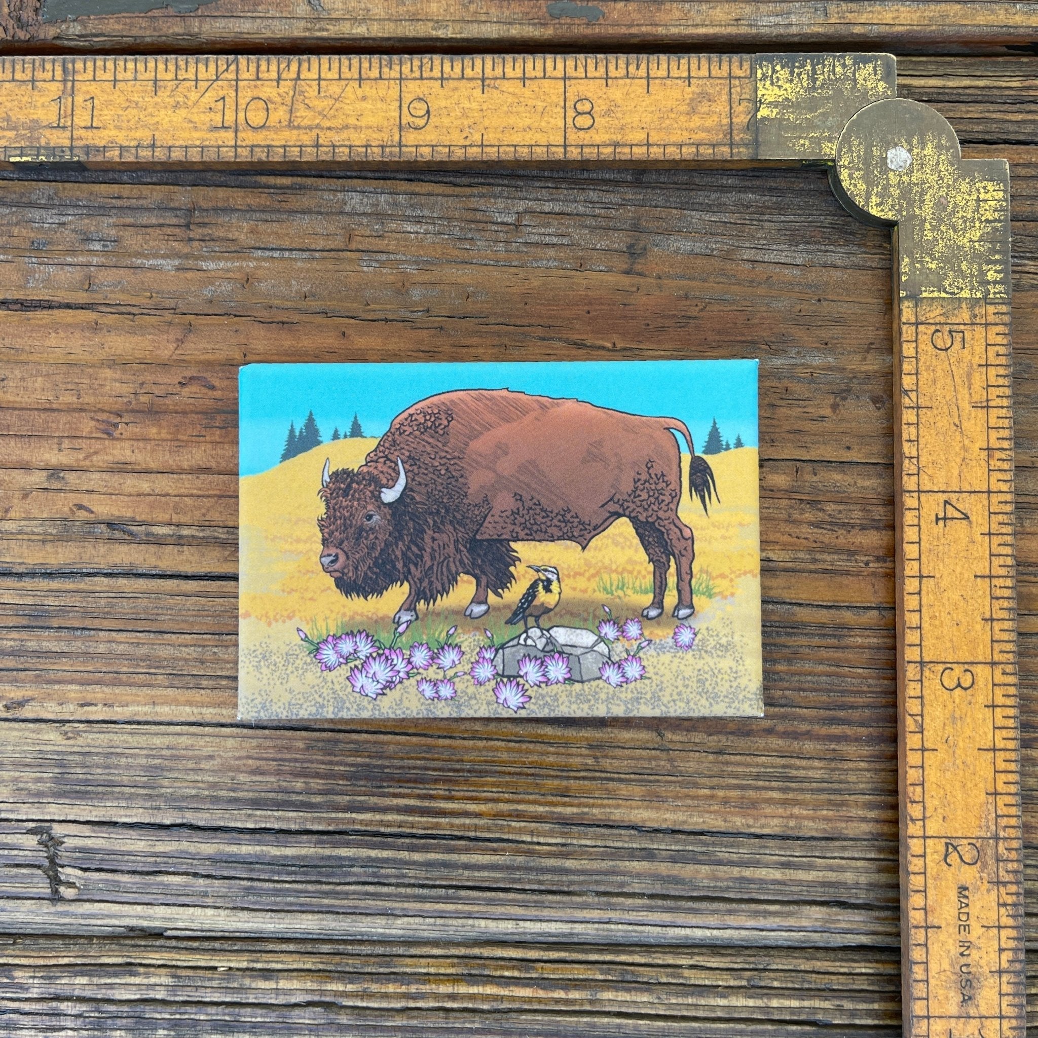 Unique Fridge Decor: Buffalo Decorative Art Magnet - 2" x 3" Durable Kitchen Accessory - Fridge Magnets - Two Little Fruits - Two Little Fruits