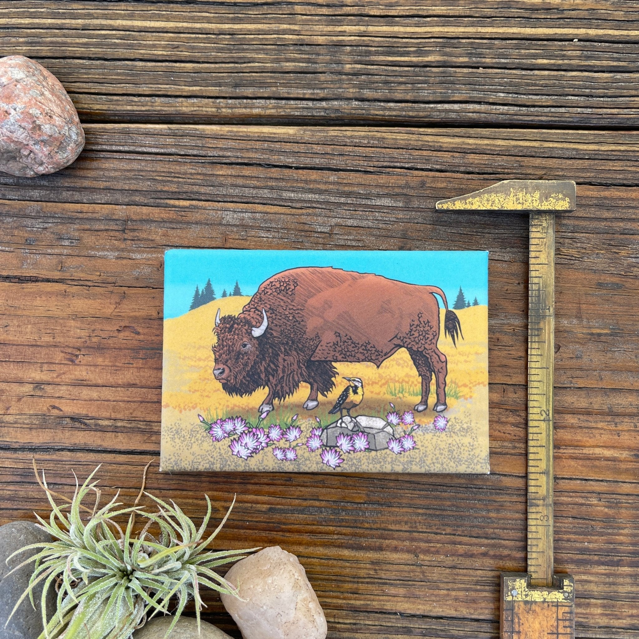 Unique Fridge Decor: Buffalo Decorative Art Magnet - 2" x 3" Durable Kitchen Accessory - Fridge Magnets - Two Little Fruits - Two Little Fruits