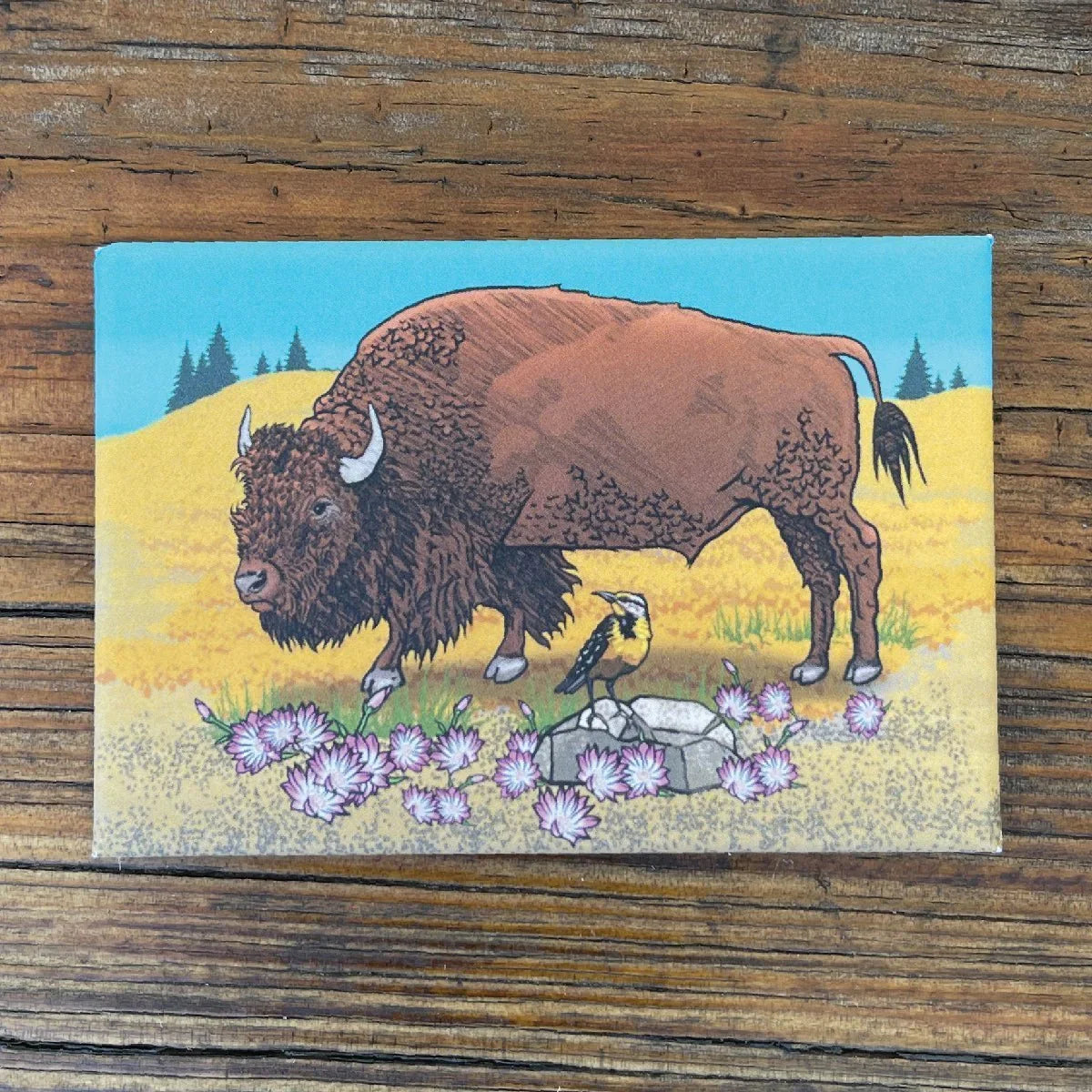 Fridge Decor: Buffalo Decorative Art illustrated fridge magnet by Two Little Fruits