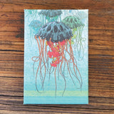 Jellyfish illustrated fridge magnet by Two Little Fruits