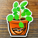 Unique Plant Stickers - Durable Money Potted Plant Decal for Personal Flair, 3.15" x 4.25" - Sticker - Two Little Fruits - Two Little Fruits