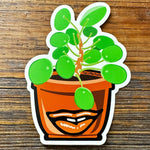 Plant Stickers | Stylish Money Plant illustrated vinyl sticker by Two Little Fruits