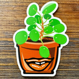 Plant Stickers | Stylish Money Plant illustrated vinyl sticker by Two Little Fruits