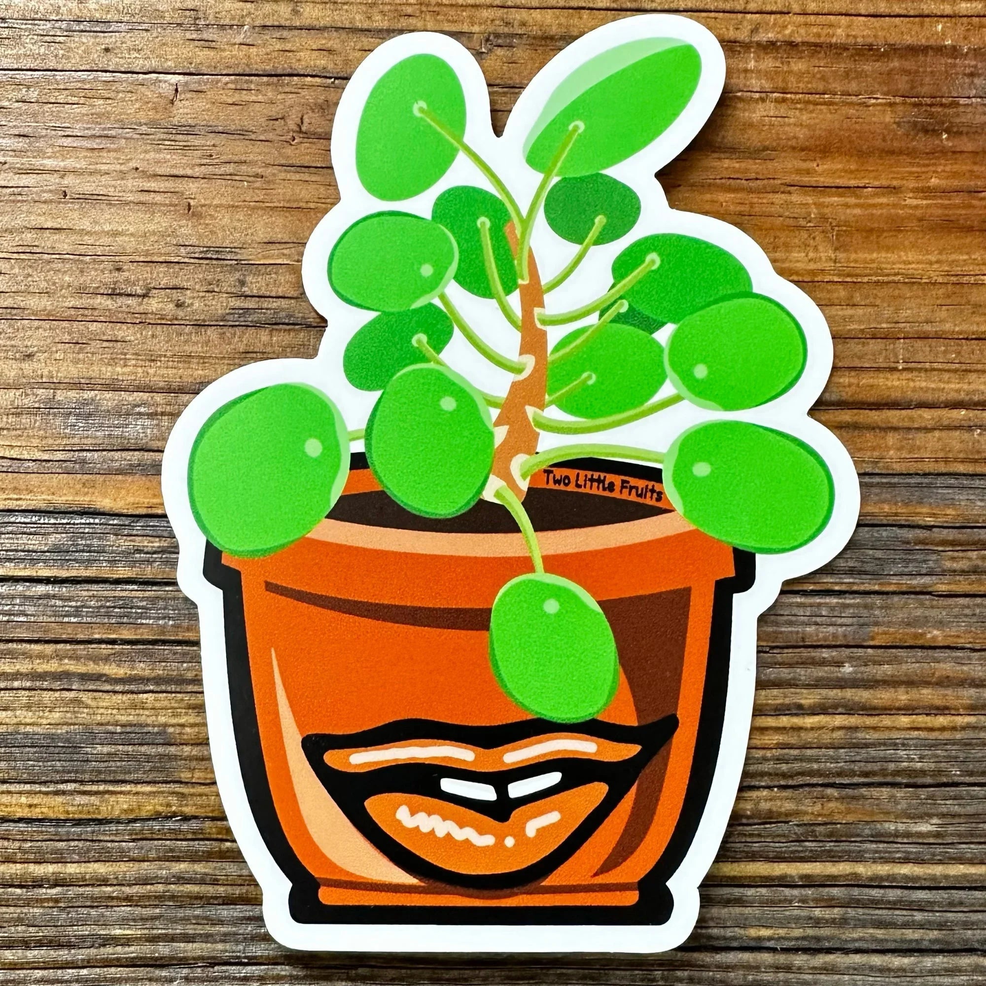 Plant Stickers | Stylish Money Plant illustrated vinyl sticker by Two Little Fruits